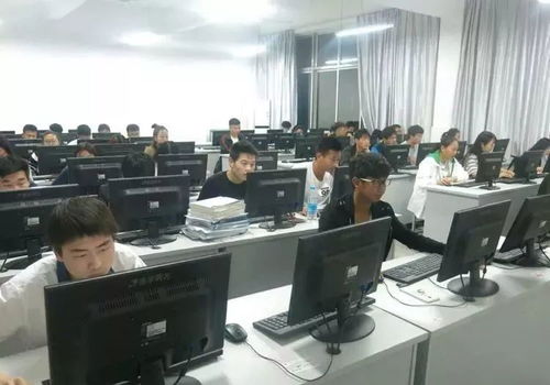 指尖創(chuàng)富 電子商務專業(yè)的數字未來與無限可能